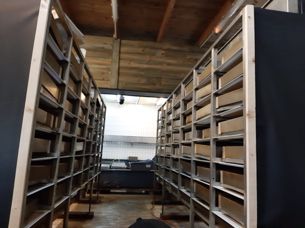 Fischbrutanstalt Alt-Mühlendorf